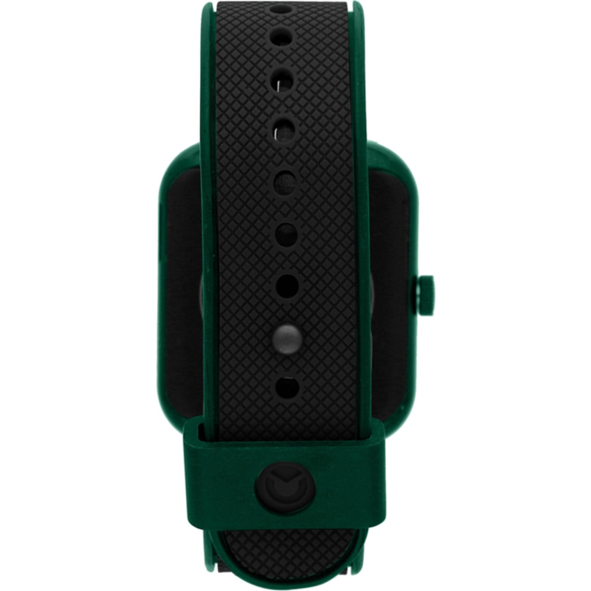 Smartwatch voice