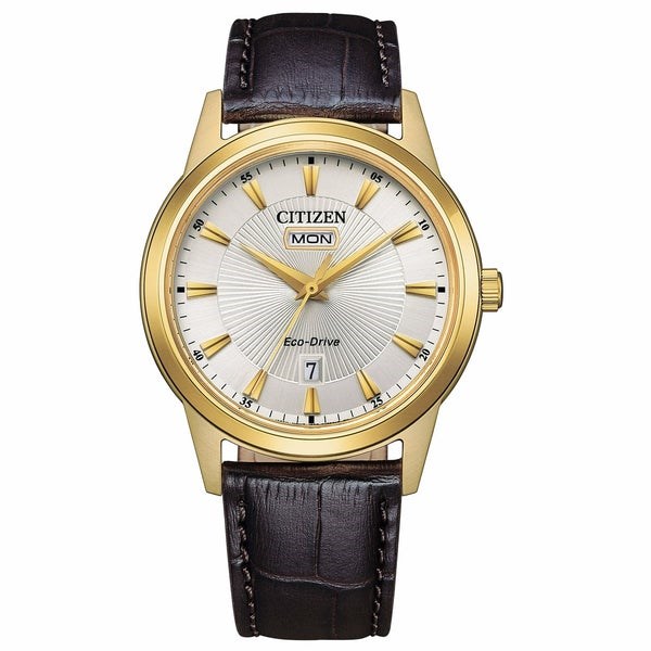 citizen Classic aw0102-13a