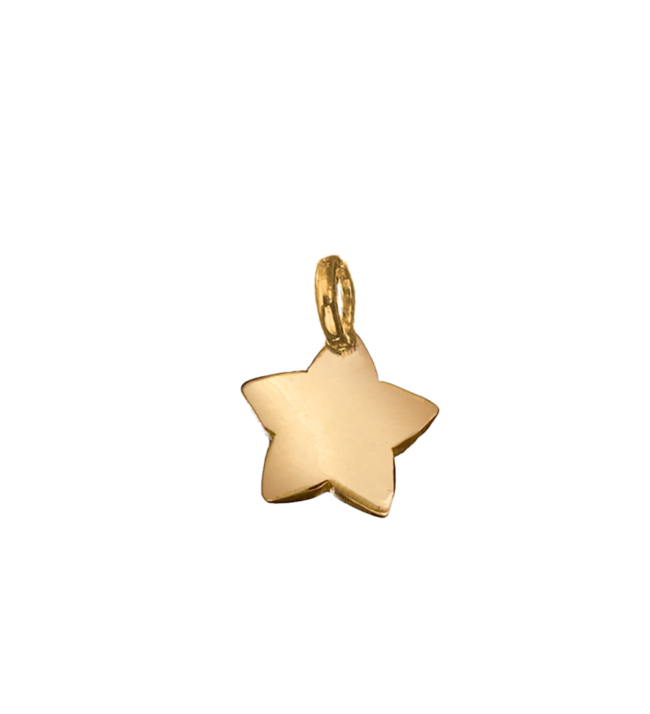 dodo mariani Stopper st200.g stopper stella oro giallo 9kt