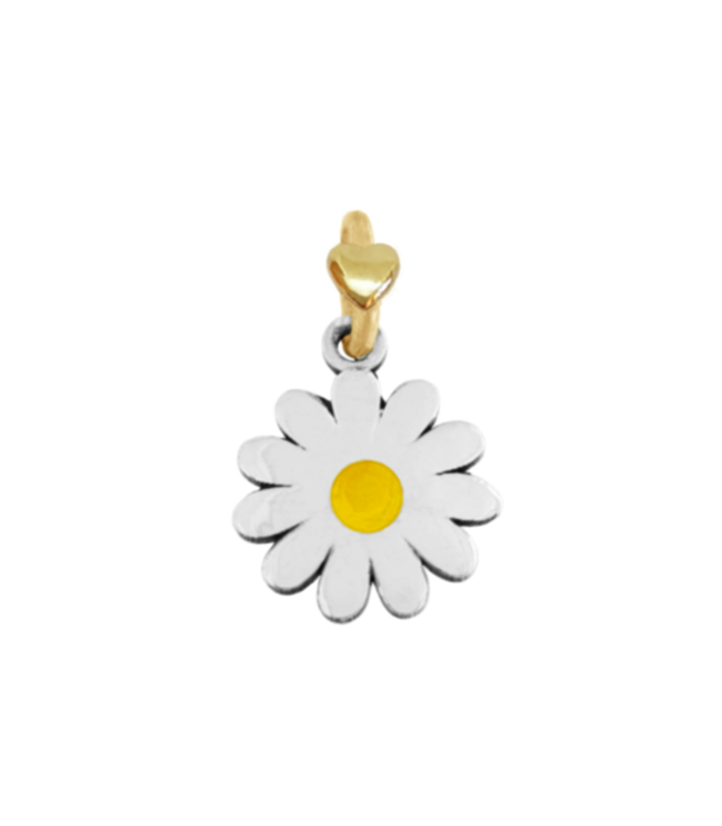 dodo mariani Primavera ma10k.g margherita