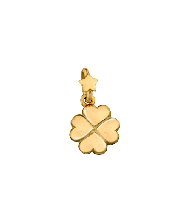 dodo mariani Portafortuna pf206.g quadrifoglio