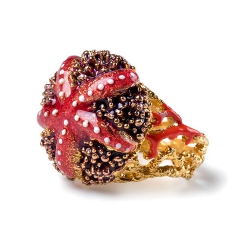Anello Donna Isola Bella 60000182 Anello Stella Riccio Smalti