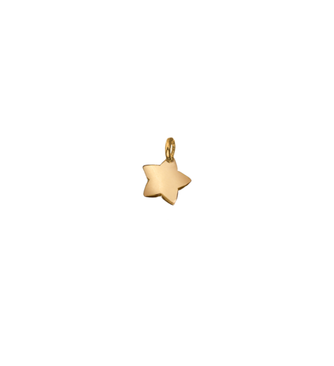 dodo mariani Stopper st200.g stopper stellina oro giallo 9kt