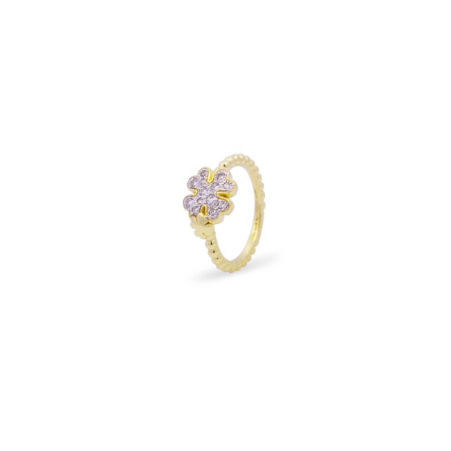 rue des mille Stardust Ten anz-018 m1 qua au