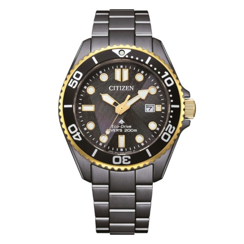 citizen Promaster Eco Drive bn0264-53e