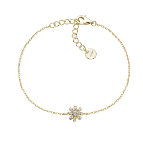 amen Fiori brfipgbz3