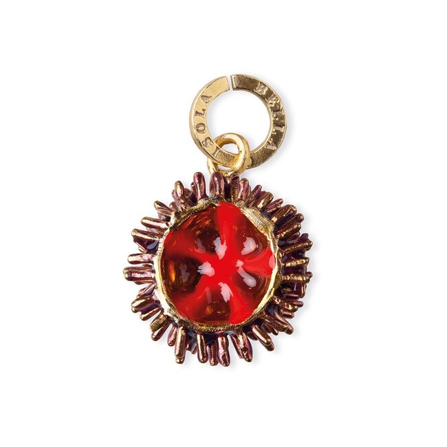 isola bella Charm 20000200 charm riccio