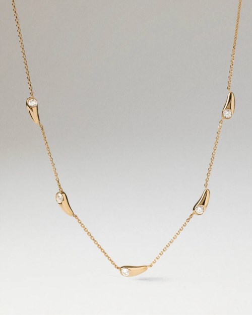 pdpaola Becca cob1-a21-u