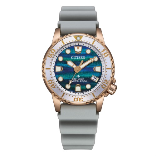 citizen Promaster Eco Drive eo2023-00w