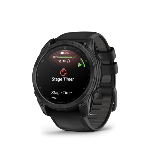 Smartwatch voice