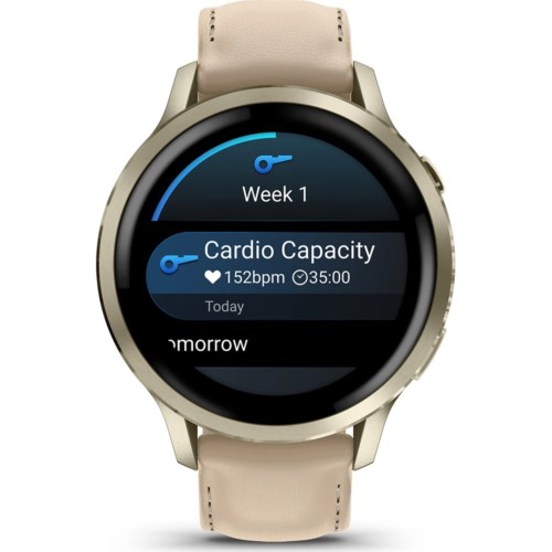 Smartwatch voice