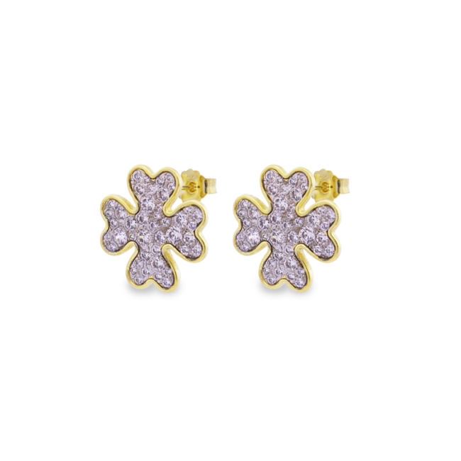 rue des mille Stardust Ten orz-018 m2 quad au