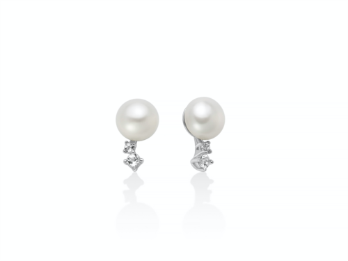 miluna andromeda per2886