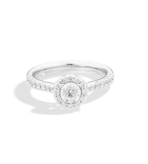 recarlo Anniversary Halo r01sc018/027