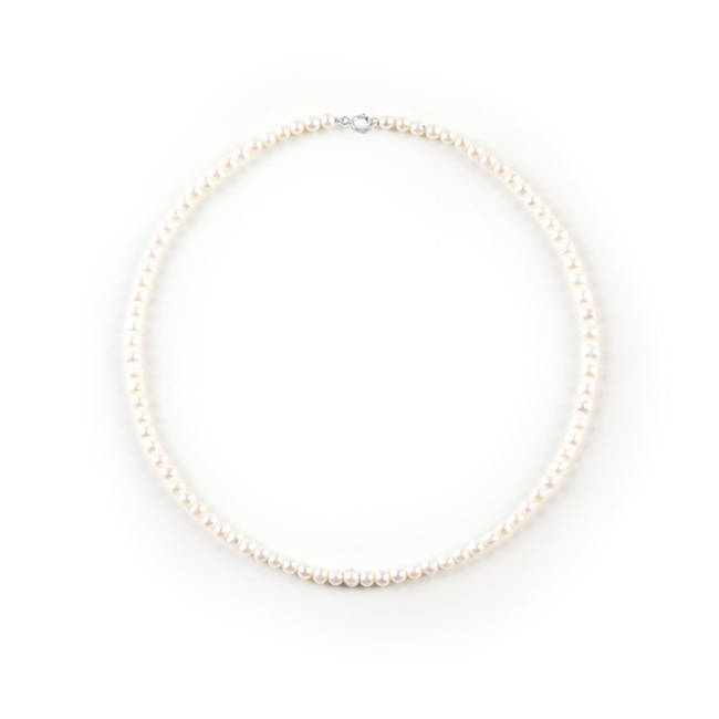 Paradise New 20092662