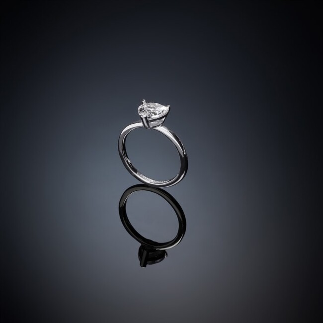 Love Parade j19avi39018