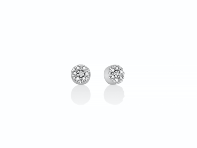 Diamantissima erd2614