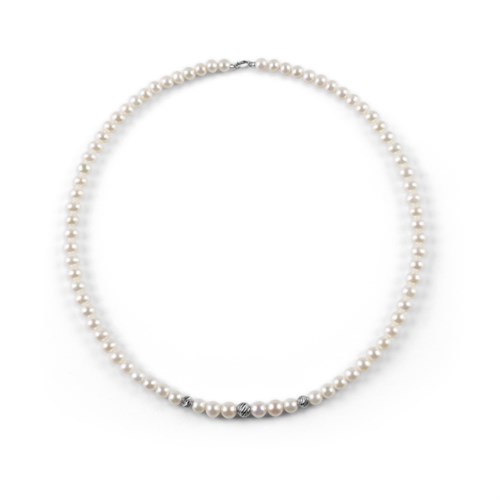 Paradise New 20092772