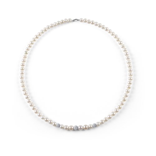 Paradise New 20096629