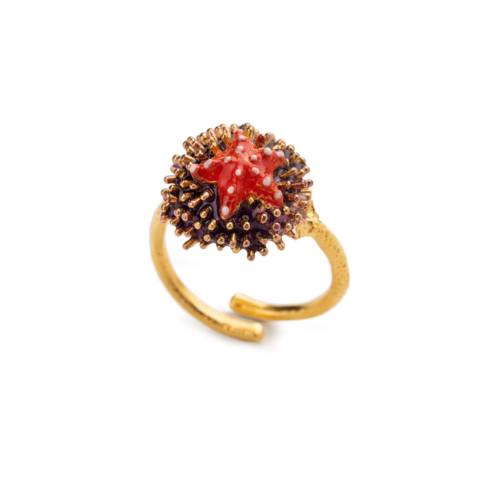 Riccio anello riccio aculei/stella marina