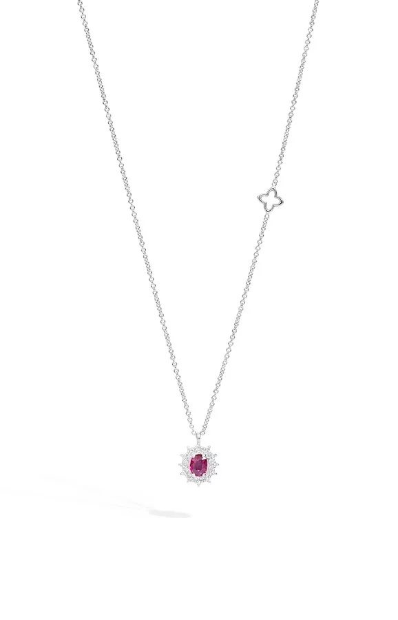 Camelia p79cc001/rb040