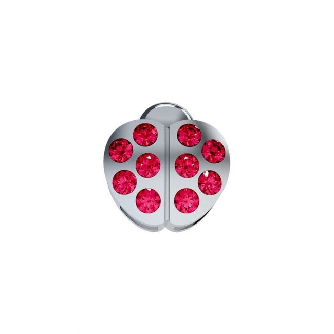 Icone dchr9513