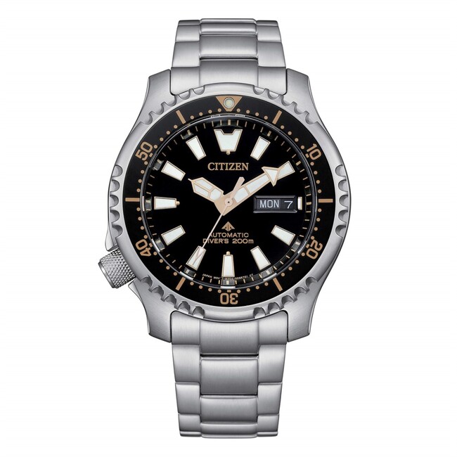 Promaster Diver's Automatico ny0160-66e