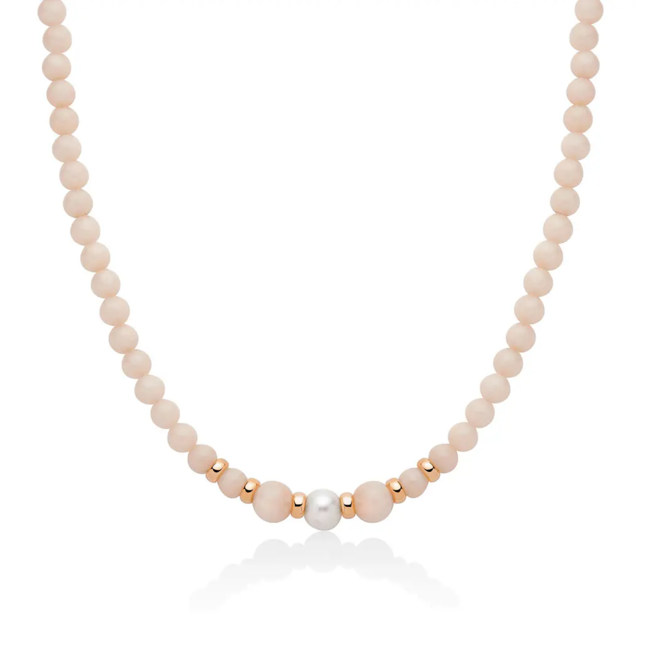 I Segreti della Natura pcl6563