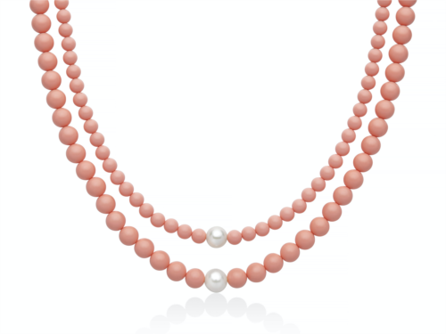 terra e mare pcl6787